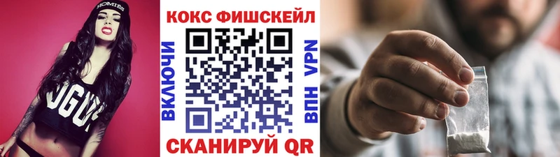 COCAIN Fish Scale  Купить где  Высоковск 