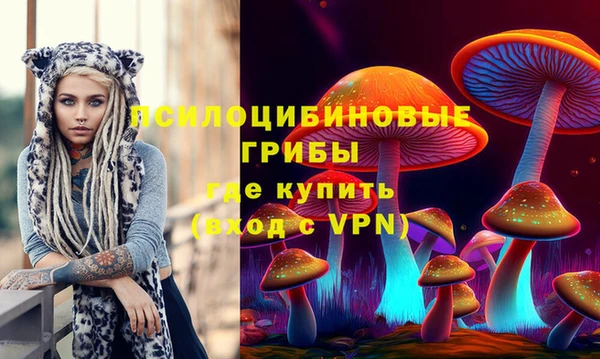 apvp Коряжма